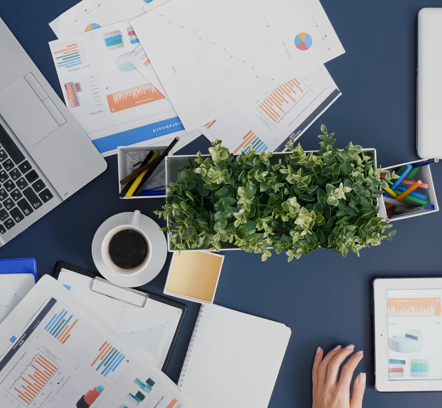 Design et Branding