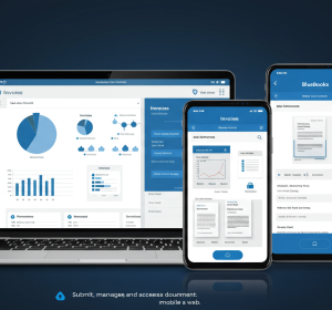 bluebooks.ma – Business Software Solutions Website